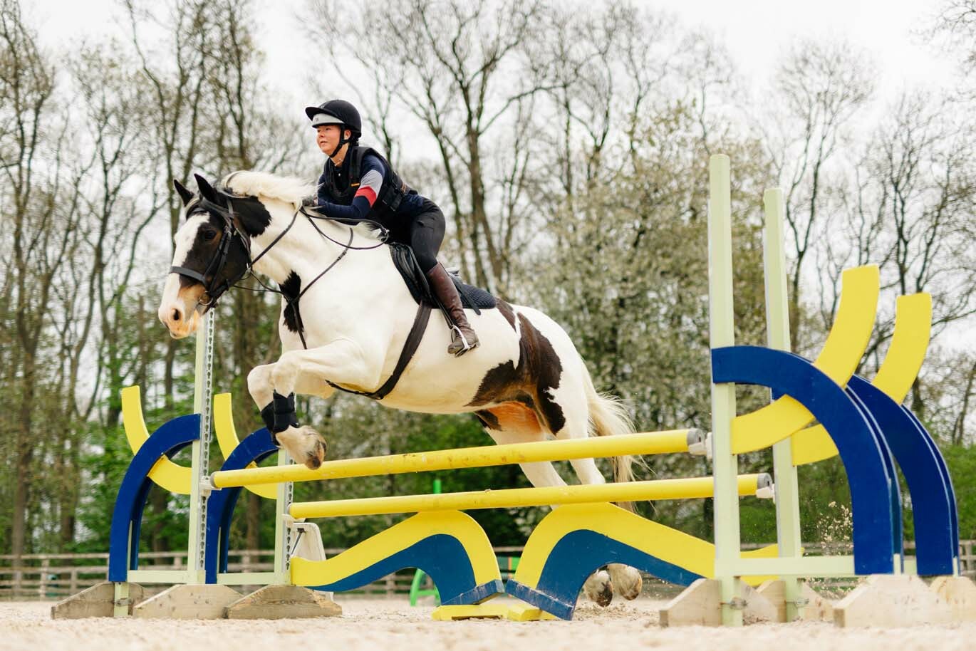 Equine | Bishop Burton College