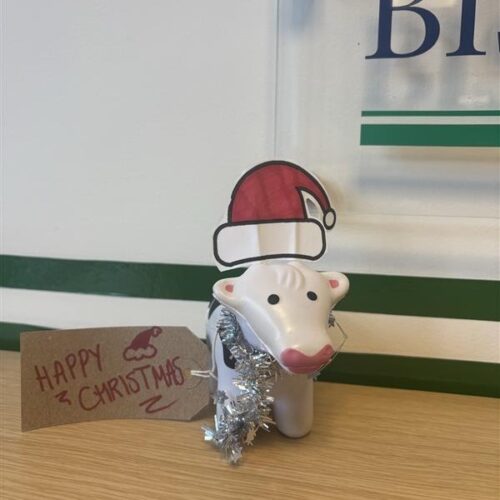 Have you seen Burt?🐮

Our festive farm animal has